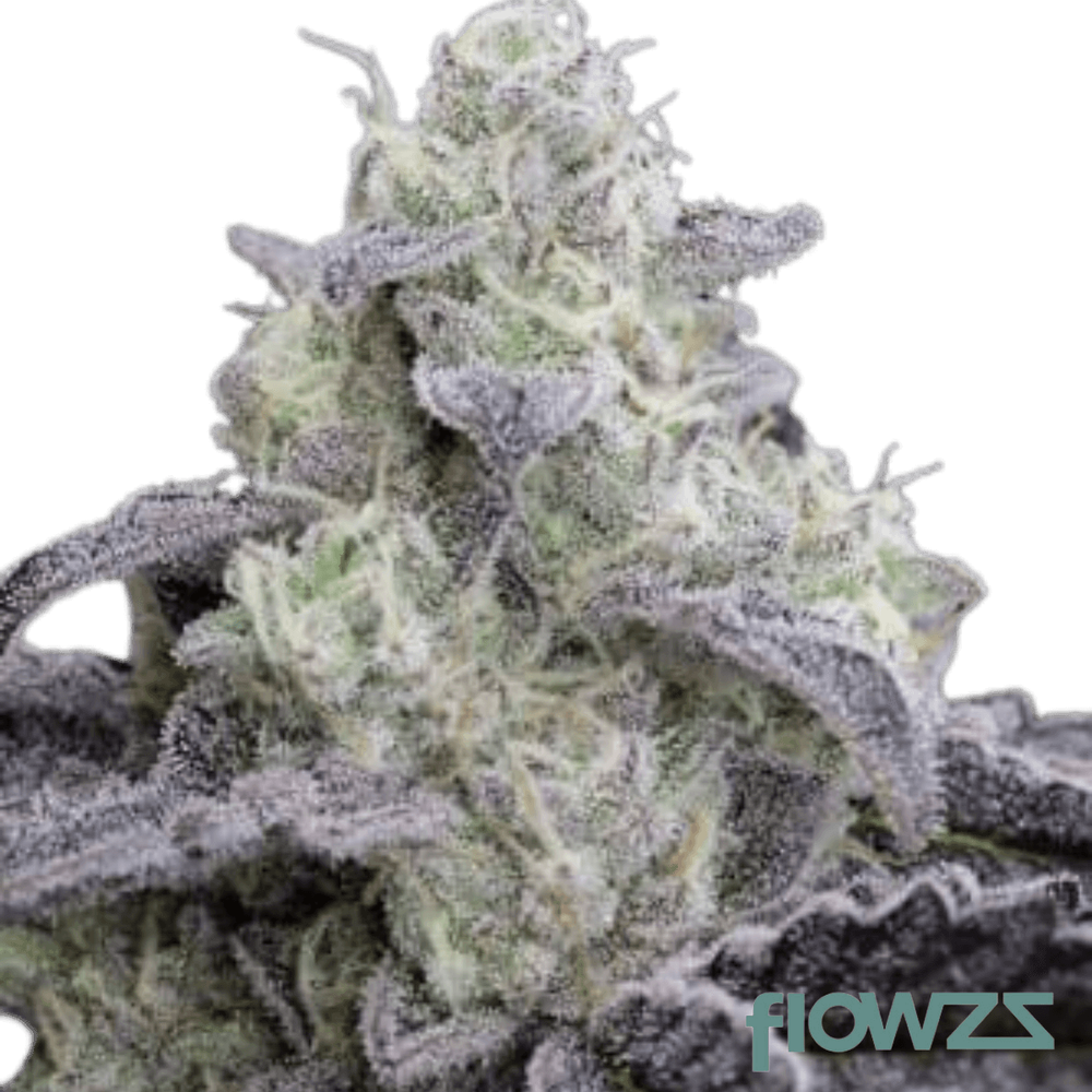 Vanilla Cake » Wirkung, Strain Reviews & Preise flowzz