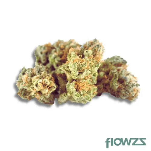 Cannamedical Hybrid Classic Gorilla Mints zum besten Preis