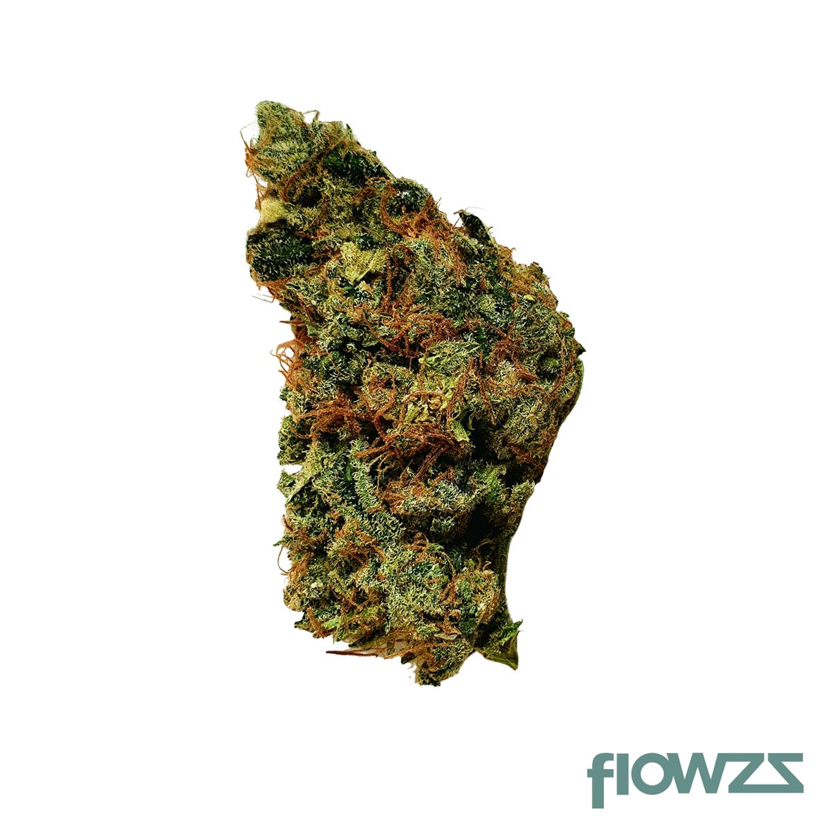 Grünhorn GG 22/1 Gorilla Glue zum besten Preis