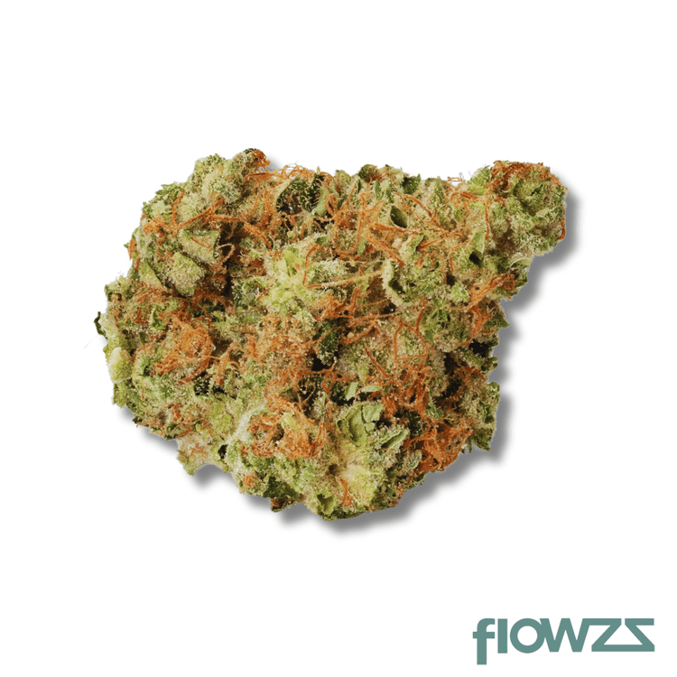 420 Evolution 27/1 CA BUL Bucket List zum besten Preis